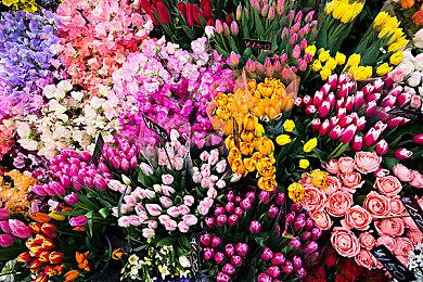 多人生存对抗PVP 《沙盒与副本：英勇之地》steam全新版本上线